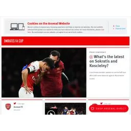 Arsenal logo