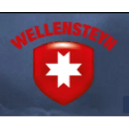 Wellensteyn logo