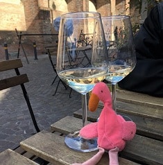 OranjeFlamingo photo