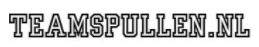 teamspullen logo