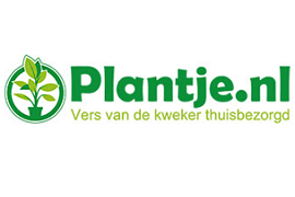 plantje logo